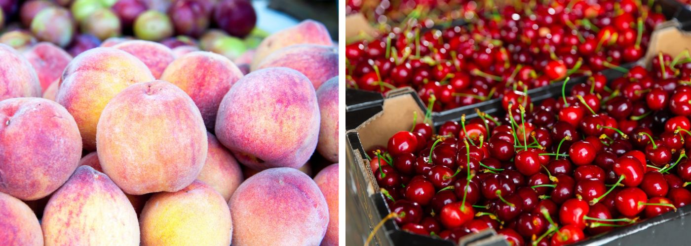 DURAZNOS Y CEREZAS USDA 2026_27