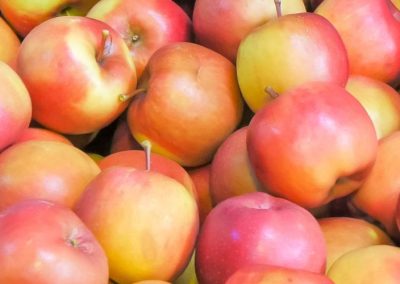 Polonia: Déficit de mano de obra y volatilidad comercial sacuden la campaña de fruta para procesamiento en 2026/27