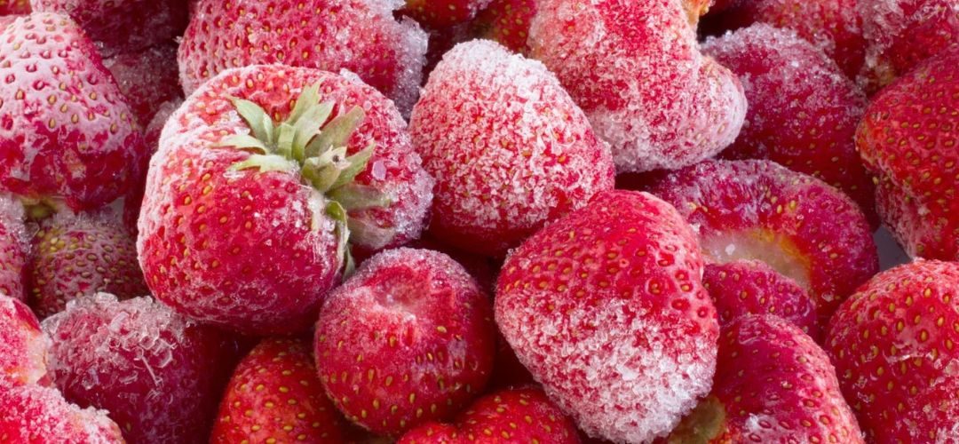 Frutillas Congeladas: China se convierte en el mercado de mayor crecimiento para los envíos de Egipto por eliminación de aranceles