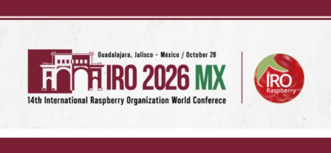 México será sede de la Conferencia Mundial de la Frambuesa 2026