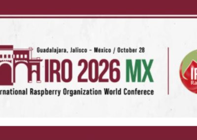 México será sede de la Conferencia Mundial de la Frambuesa 2026