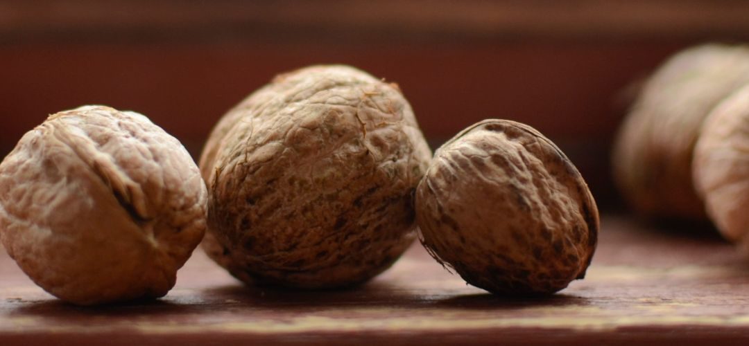 Nueces/Ucrania: USDA pronostica que la cosecha 2026/27 crecerá 15% y alcanzará 97.200 toneladas