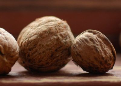 Nueces/Ucrania: USDA pronostica que la cosecha 2026/27 crecerá 15% y alcanzará 97.200 toneladas