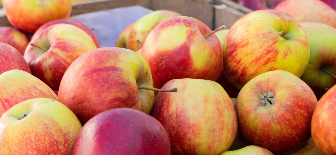 Manzanas: Rusia proyecta cosecha récord de 2,1 millones de toneladas en 2026