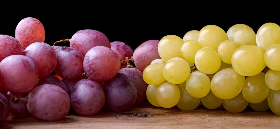 Uvas/Turquía: Producción se recuperará y alcanzará 3,85 millones de toneladas en 2026