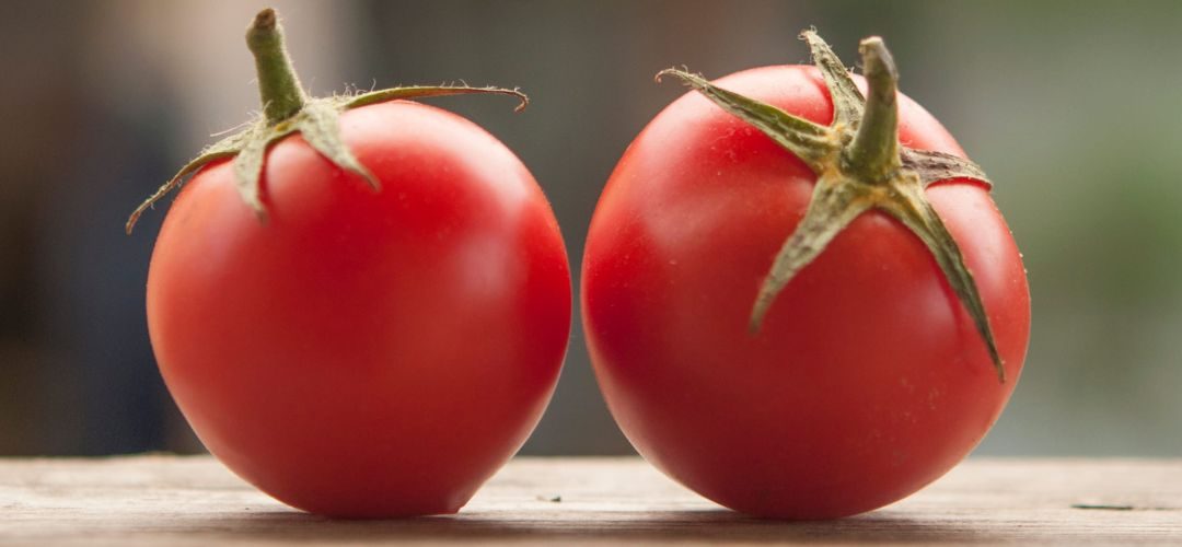Tomate Industrial/WPTC: Gas y diésel disparan costes en Italia y China recorta la producción por climatología