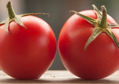 Tomate Industrial/WPTC: Gas y diésel disparan costes en Italia y China recorta la producción por climatología