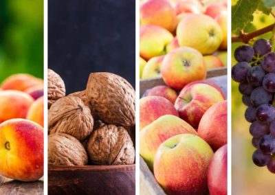 Turquía: Segunda estimación oficial de cosecha 2026/27 proyecta fuerte recuperación de cerezas, manzanas, duraznos, uvas, nueces y avellanas