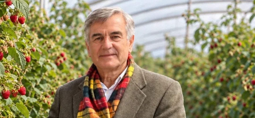 Antonio Domínguez: Menor oferta europea abre nuevas oportunidades para la frambuesa congelada chilena