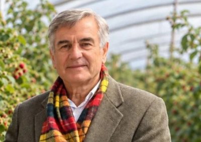 Antonio Domínguez: Menor oferta europea abre nuevas oportunidades para la frambuesa congelada chilena