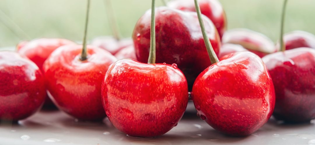 EE.UU: Cosecha de cerezas dulces se reduce 18 % y las ácidas 38 %