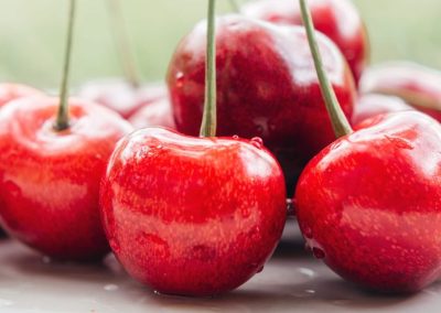 EE.UU: Cosecha de cerezas dulces se reduce 18 % y las ácidas 38 %