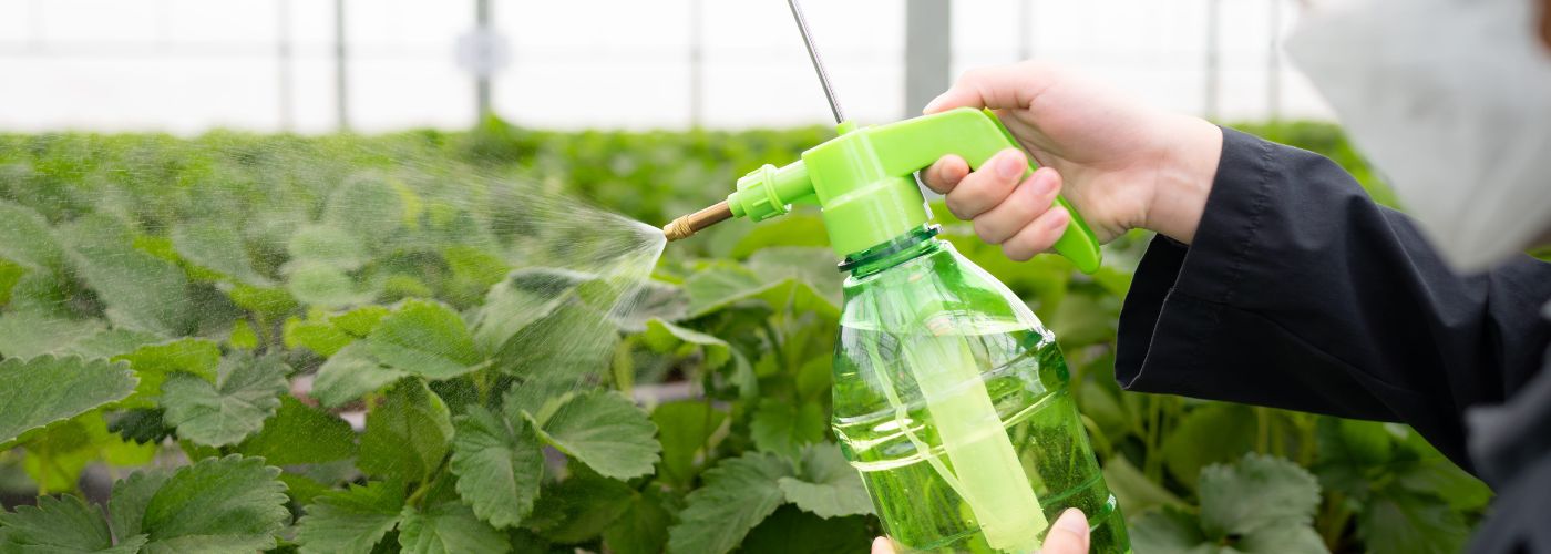 CLORPIRIFOS LMR EUROPA