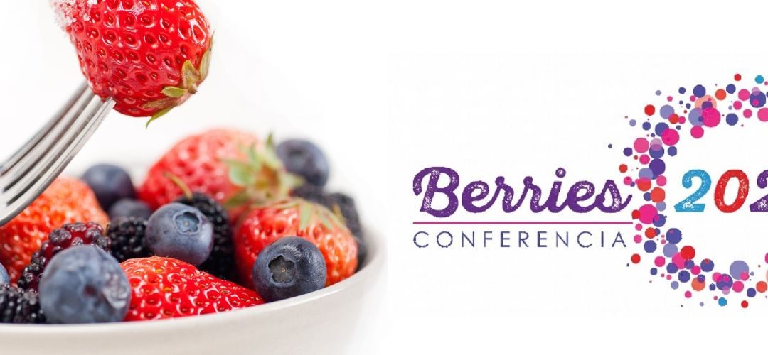 Conferencia Berries 2026 reunirá a expertos nacionales e internacionales para analizar el mercado y los desafíos de los berries congelados