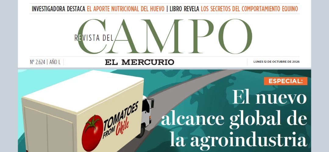 Especial Revista del Campo: Chilealimentos impulsa una nueva etapa global para la agroindustria chilena