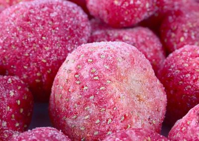 Frutillas Congeladas/Egipto: Envíos crecen 8% y alcanzan US$ 617 millones entre enero- agosto 2026
