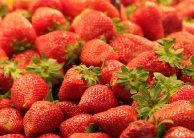 Frutillas/Egipto: Anticipan caída de hasta el 40% de la superficie para frenar sobreoferta y ajustar los precios desde la próxima temporada