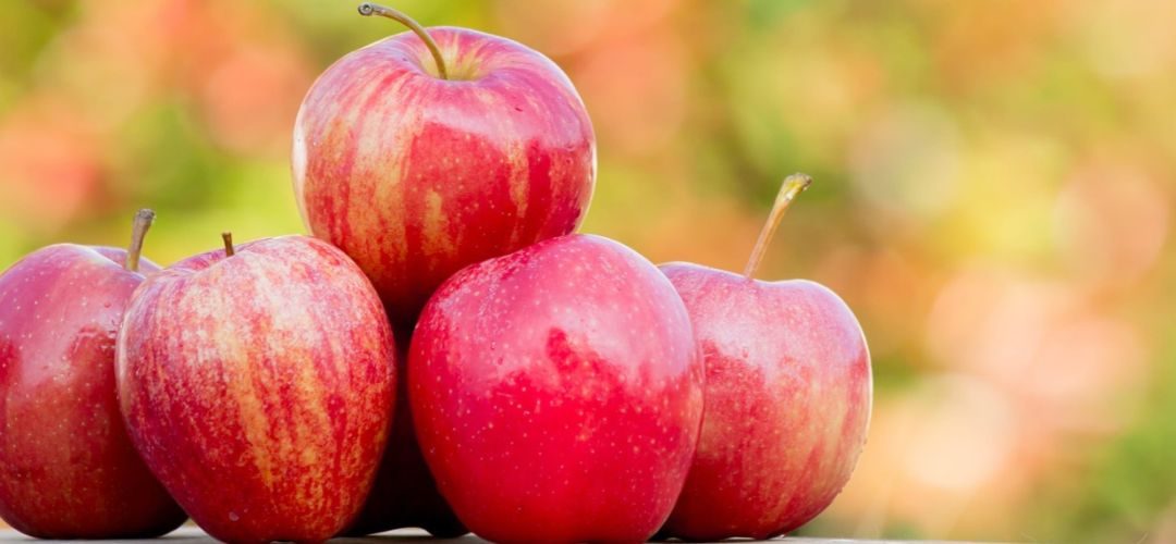 Manzanas/Francia: Cosecha 2026/27 caerá 15% y se estima que alcanzará 1,36 millones de toneladas