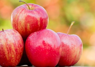 Manzanas/Francia: Cosecha 2026/27 caerá 15% y se estima que alcanzará 1,36 millones de toneladas