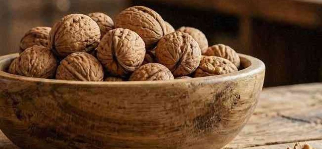 Nueces/EE.UU: Turquía, Italia y Alemania impulsaron los envíos a Septiembre 2026