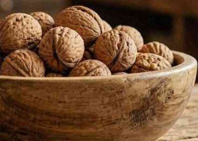 Nueces/EE.UU: Turquía, Italia y Alemania impulsaron los envíos a Septiembre 2026