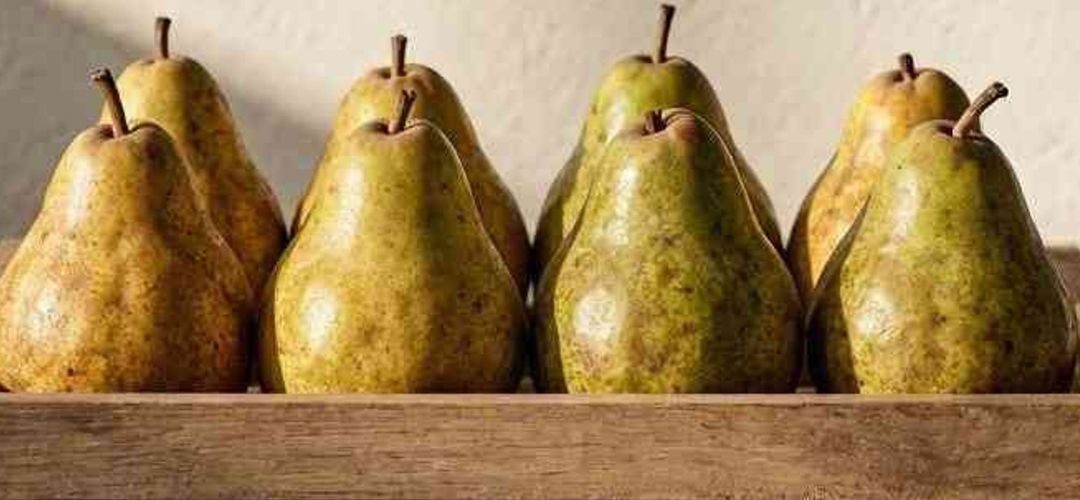 Peras/EE.UU: Producción caería 15% y marcaría una de las cosechas más bajas en cinco décadas