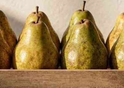 Peras/EE.UU: Producción caería 15% y marcaría una de las cosechas más bajas en cinco décadas