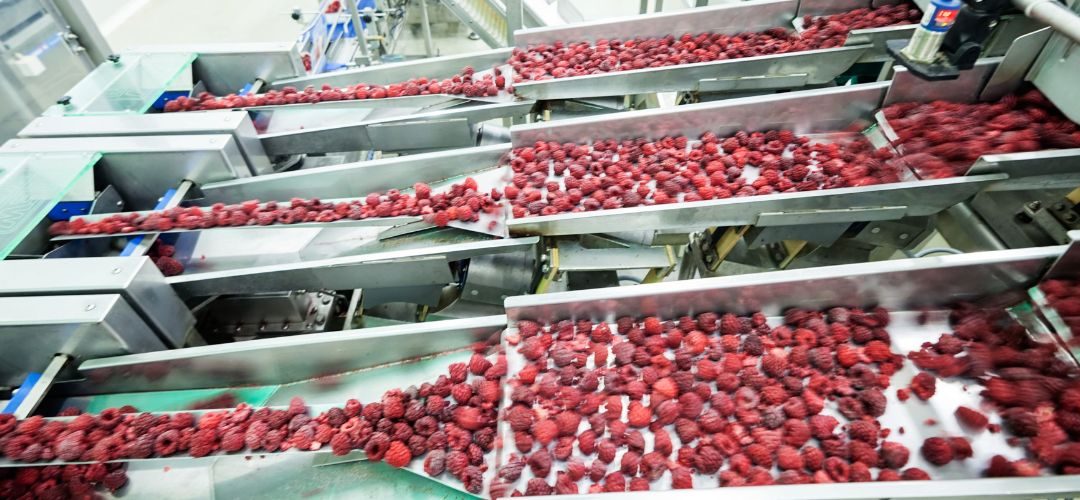 Polonia: Nuevo subsidio impulsa el procesamiento de fruta con cobertura para instalaciones de procesamiento, almacenamiento y comercialización
