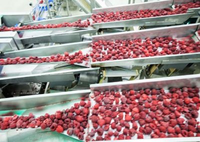 Polonia: Nuevo subsidio impulsa el procesamiento de fruta con cobertura para instalaciones de procesamiento, almacenamiento y comercialización