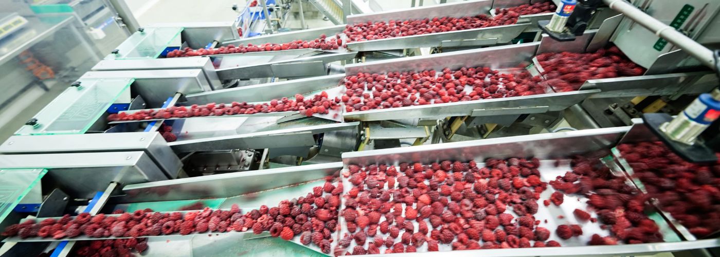 PROCESAMIENTO DE FRUTAS POLONIA