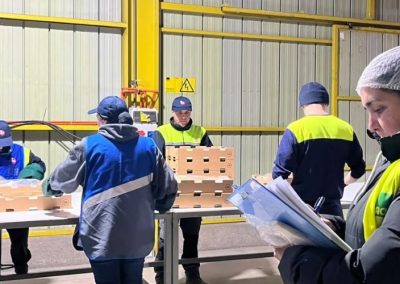 Competencias Laborales: 150 trabajadores de Copefrut finalizaron proceso de evaluación junto a Chilealimentos