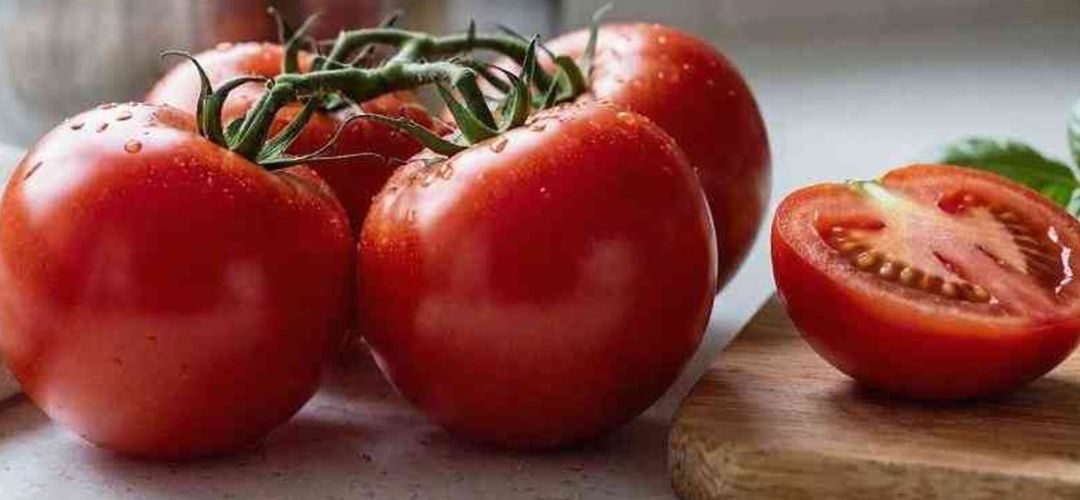 Tomate Industrial/Australia: Producción local no cubre la demanda y alta dependencia de las importaciones