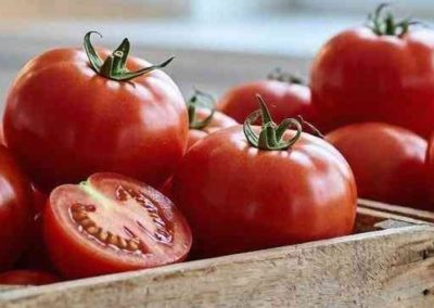 India produce el 11% de los tomates del mundo, pero procesa menos del 1% de su cosecha